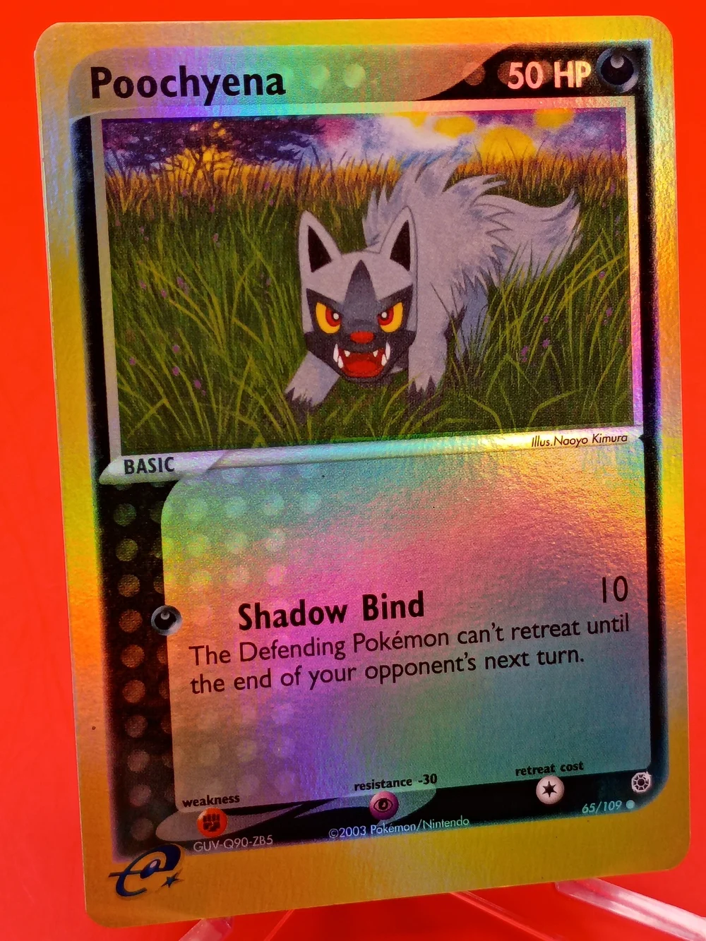 Poochyena Reverse Holo 65/109 EX Ruby & Sapphire E-Reader Series NM Pokémon